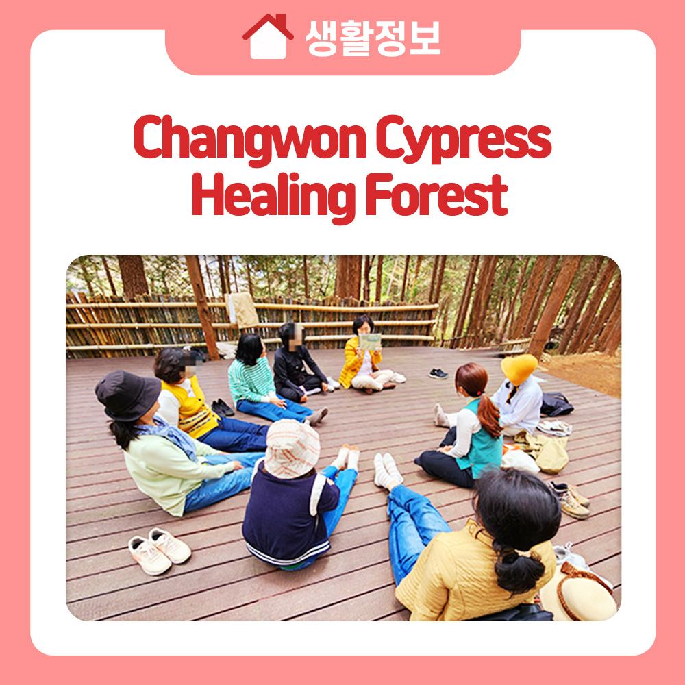 Changwon Cypress Healing Forest
