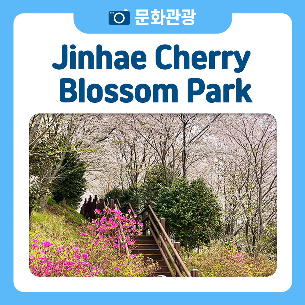 Jinhae Cherry Blossom Park